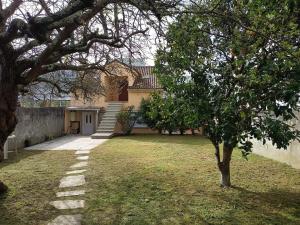 a tree in the yard of a house at Casa en vigo in Vigo