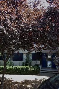 a tree in front of a house with a blue door at Apartament Severin Caple in Drobeta-Turnu Severin