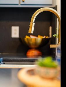 a sink with a bowl of food in a kitchen at Eden at Blue Lane in Olathe