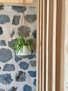 a plant in a pot hanging from a wall at Abri Tiny House in Murat