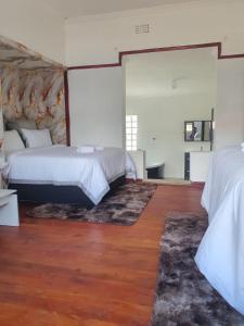 a bedroom with two beds and a large mirror at Ludinz Self Catering Accommodation Bellville in Avondale +15 photos