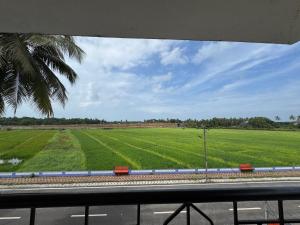 a view of a green field from a train window at Paulina's Guest House in Madgaon