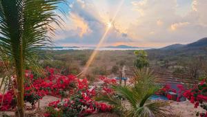 a view of a garden with pink flowers and a rainbow at The Dream Eco Glamping in La Sabrosa