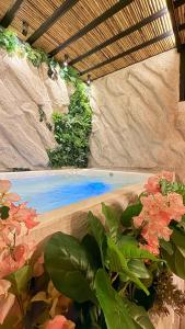 a swimming pool in a backyard with plants at Hotel Paris Carré in Valledupar