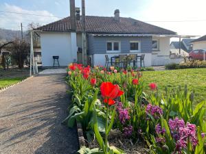 a garden of flowers in front of a house at Le rendez-vous des 2 amants in Romilly-sur-Andelle