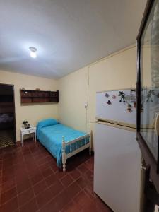 a room with a refrigerator and a bed in it at Tia Clara in San Salvador de Jujuy