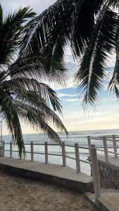 a beach with a fence and a palm tree and the ocean at Casa Esmeralda in La Huerta