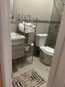 a bathroom with a toilet and a sink and a shower at Zoë Oasis - #1 Couple's Choice & Wholesome Getaway in Lilliendahl