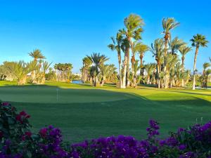 a golf course with palm trees and a green at Riad OUAR - Once Upon A Riad in Marrakesh