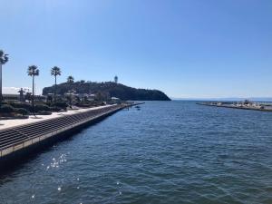 a large body of water with a pier and palm trees at Residencial Hotel EK1 in Fujisawa