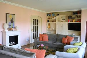 a living room with a couch and a fireplace at Villa Hortensie in Aachen