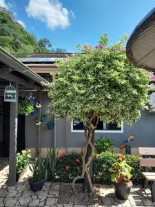 a tree in front of a house with flowers at Recanto Romig in Pomerode