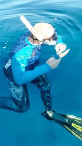a person in the water in the water at Adefiro homestay in Waisai