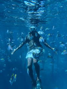 a woman swimming in the water with a group of fish at Adefiro homestay in Waisai
