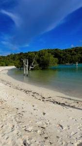 a beach with a bunch of trees in the water at Sunset Rote Bungalows in Nembrala +7 photos