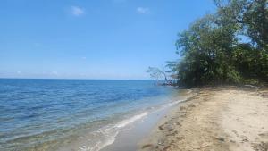 a beach with trees and the ocean on a sunny day at Bunkhouse Lodge in Omoa