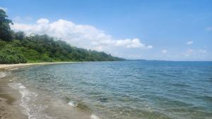 a view of a beach with trees and the ocean at Bunkhouse Lodge in Omoa +6 photos