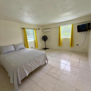 a bedroom with a bed and a fan in it at Hector residence in Saint Johnʼs
