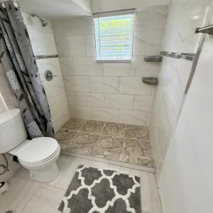 a bathroom with a toilet and a shower and a rug at Hector residence in Saint Johnʼs