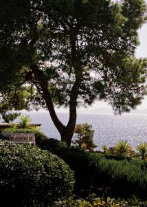 un banco sentado bajo un árbol junto al océano en Villa Irini, en Porto Heli