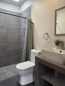 a bathroom with a toilet and a sink and a shower at suite doble ejecutiva providencia in Guadalajara