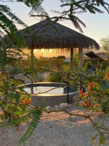 a bathtub with a straw umbrella in a garden at Azure Palm Hot Springs in Desert Hot Springs