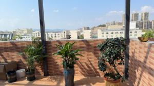a balcony with potted plants on a brick wall at 道和轩民宿 in Heyuan