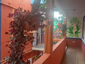 a hallway with a potted plant on the side of a building at Hotel Los Faroles, Villa del Carbón in Villa del Carbón +14 photos