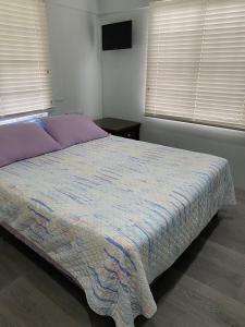 a bedroom with a large bed with purple sheets and two windows at Beverley Manor DIAMOND VALE' 2 Bedroom 1 Bath Apartment in Diego Martin