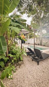 a couple of chairs sitting next to a pool at Apartamento Casa 24 in Bacalar