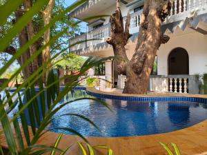 a swimming pool in front of a house with a tree at Sarovar Ashwem in Mandrem