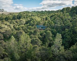 a blue train traveling through a lush green forest at Mākoha PurePod in Kerikeri