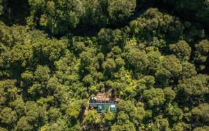 an aerial view of a house in the middle of a forest at Mākoha PurePod in Kerikeri +7 photos