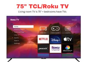 a television screen with the telokowitz tv website at Mayan Princess 101 in Port Aransas