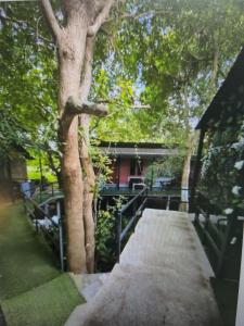 a wooden boardwalk next to a tree and a building at 3 Star and the Sun in Ban Nua