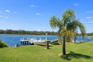 a boat parked at a dock next to a palm tree at Badgee Park in Sussex Inlet