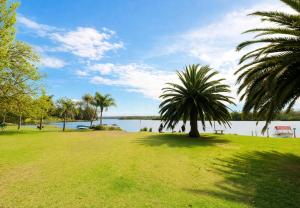 a park with a palm tree and a body of water at Badgee Park in Sussex Inlet