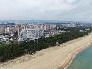 an aerial view of a beach and buildings at 블루앤호텔 in Songjŏng