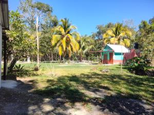 a house in the middle of a yard with palm trees at koten Naj Cabanas in Xpujil +31 photos