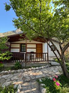 a house with a tree in front of it at KiDRAK OTEL MONTENEGRO-1 in Faralya