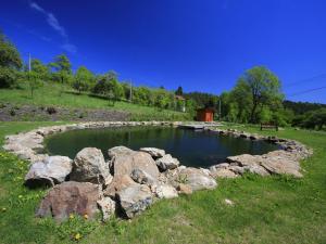 a pond with rocks in the middle of a field at Villa in Býšovec near Harusak Ski Resort in Ujčov