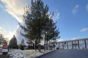 a tree on the side of a road in front of a building at Ramada by Wyndham Cobleskill in Cobleskill