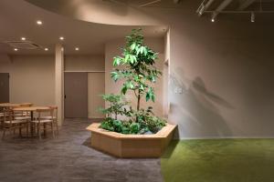 a room with a large plant on the wall at 水の郷リトリート 再 in Katori +49 photos
