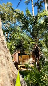 a house with palm trees in front of a building at MELLOW TREES Lake front studio with sauna in Budgewoi