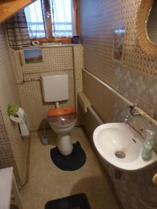 a small bathroom with a toilet and a sink at Casa Wüstner in Dinkelsbühl