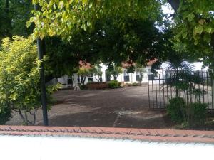 a gate in a park with trees and bushes at Zanem Guest House in Potchefstroom