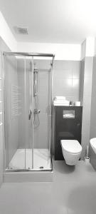 a bathroom with a shower and a toilet at Noclegi Sezam in Łańcut
