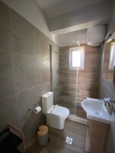 a bathroom with a toilet and a sink at Studio Mytzela in Amaliapoli