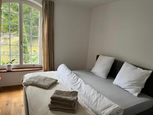 a bedroom with a bed with pillows and a window at Studio im Naturschutzgebiet in Spreitenbach