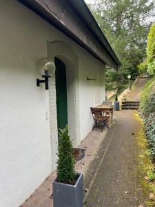 a building with a potted plant next to a door at Studio im Naturschutzgebiet in Spreitenbach +2 photos